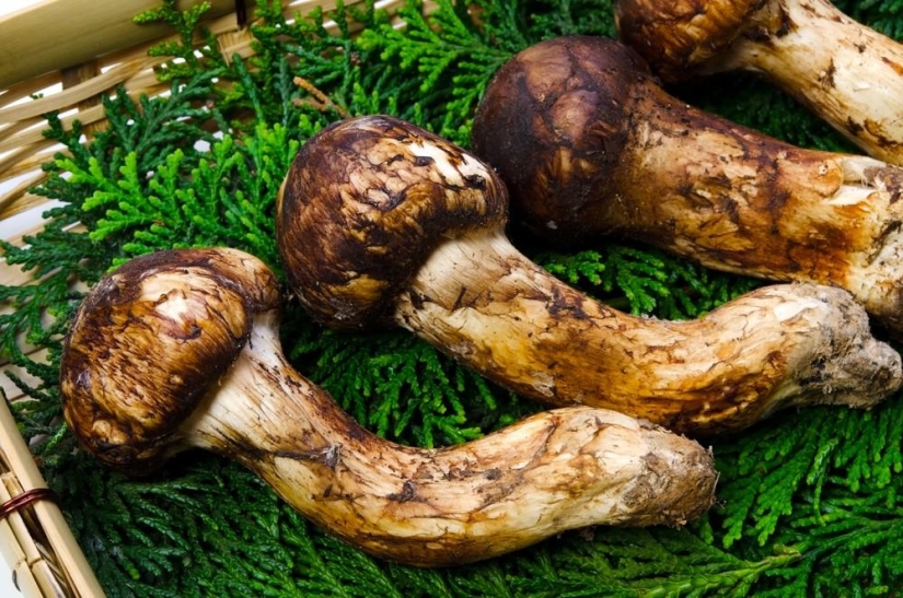 The most expensive food you probably won't try