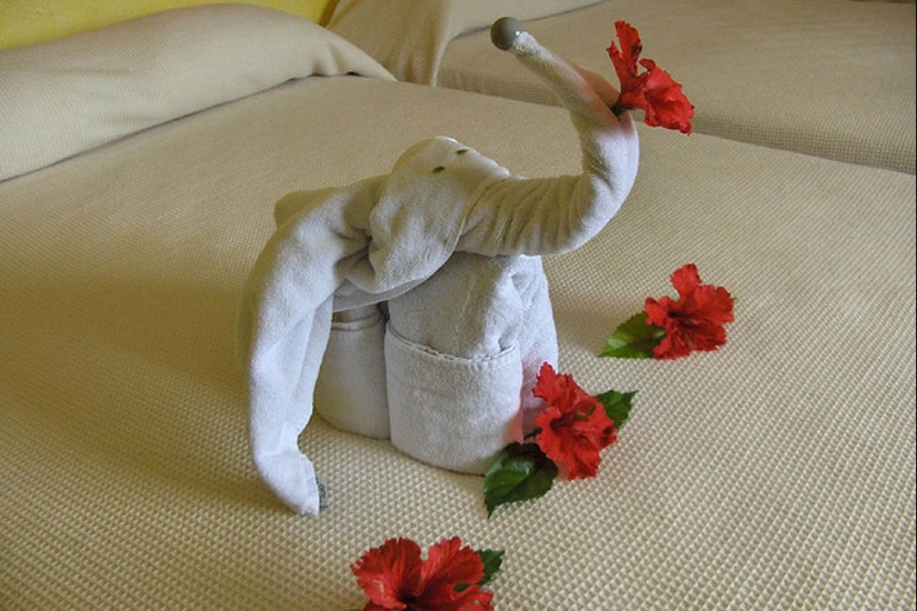 The most ridiculous Vacation Photos that Just Shouldn't Exist