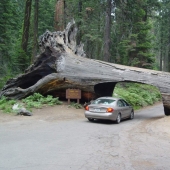 The most unusual transport tunnels