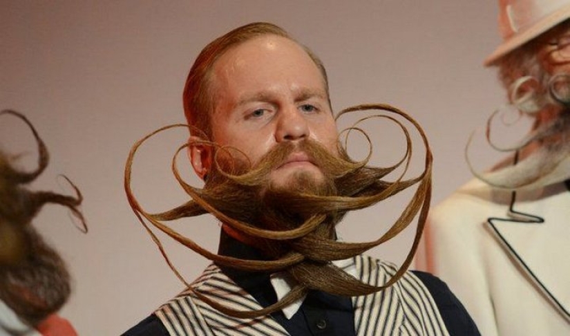 The most unusual competitions, which take place in the world