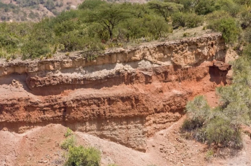 The Mysterious Skeleton of Hans Reck, Who Lay in the Ground for a Million Years The Mysterious Skeleton of Hans Reck, Who Lay in the Ground for a Million Years