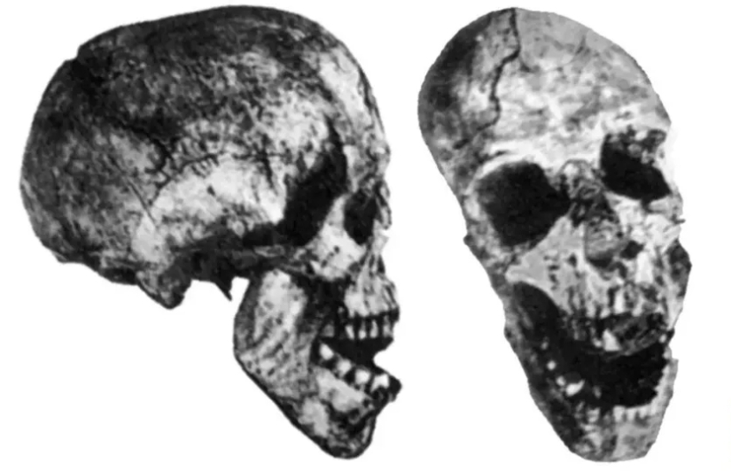 The Mysterious Skeleton of Hans Reck, Who Lay in the Ground for a Million Years The Mysterious Skeleton of Hans Reck, Who Lay in the Ground for a Million Years