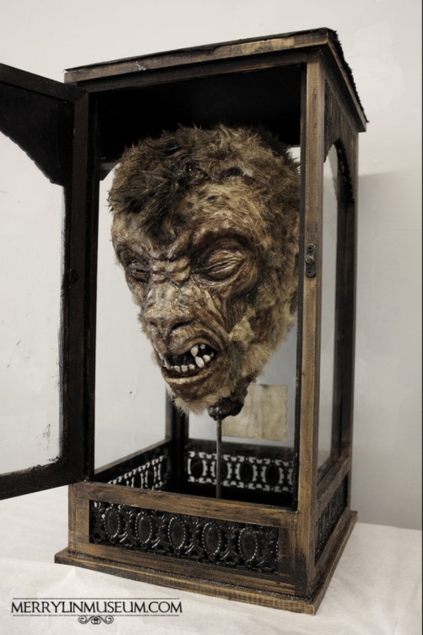 The mystery of the nightmarish collection of Thomas Merrilyn, a time traveler The mystery of the nightmarish collection of Thomas Merrilyn, a time traveler