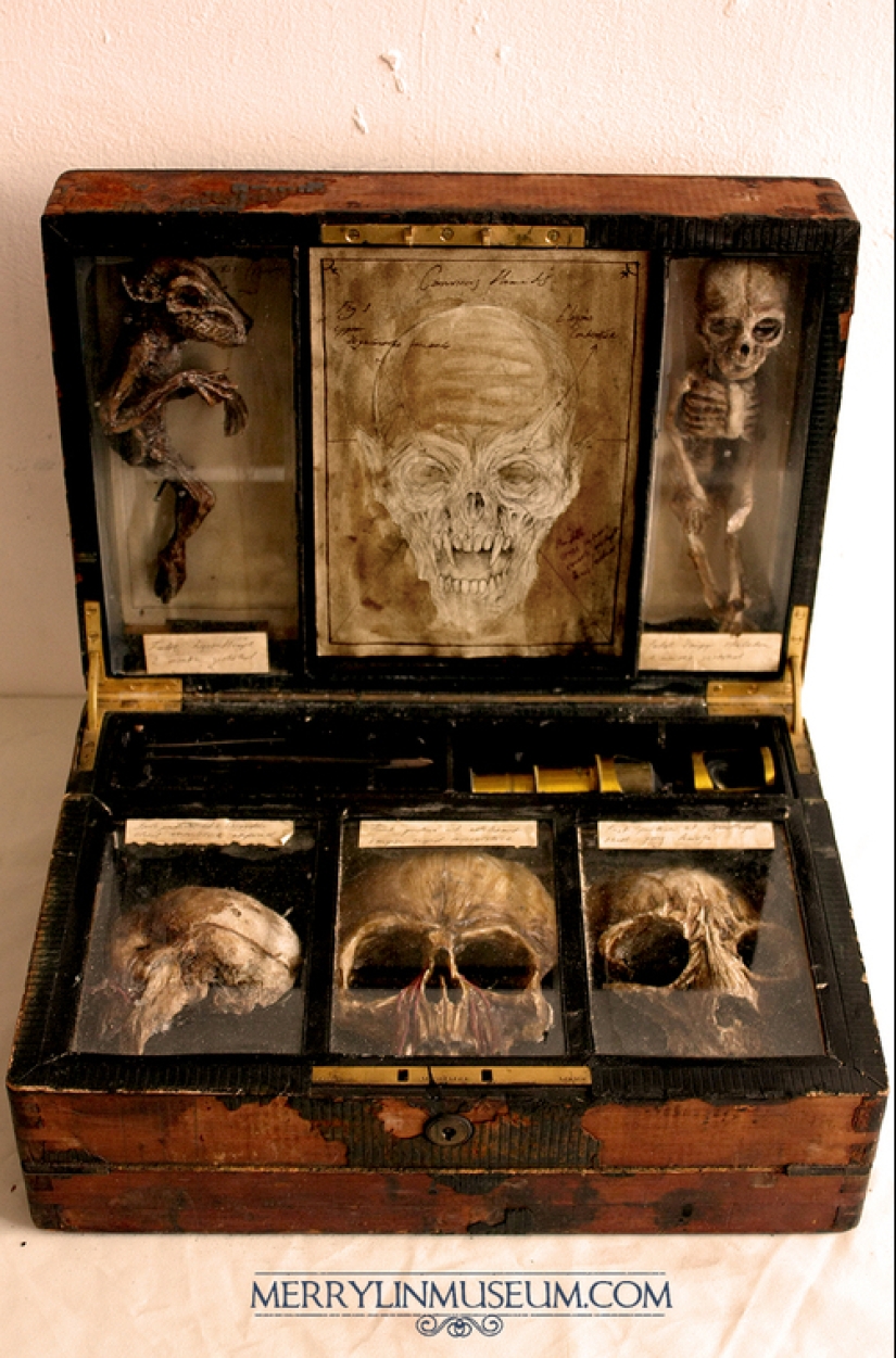 The mystery of the nightmarish collection of Thomas Merrilyn, a time traveler The mystery of the nightmarish collection of Thomas Merrilyn, a time traveler