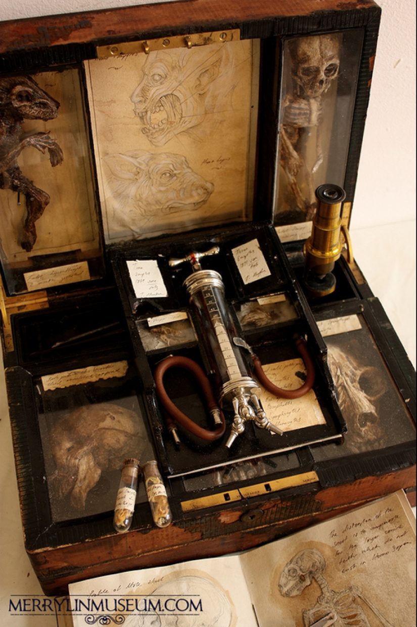 The mystery of the nightmarish collection of Thomas Merrilyn, a time traveler The mystery of the nightmarish collection of Thomas Merrilyn, a time traveler