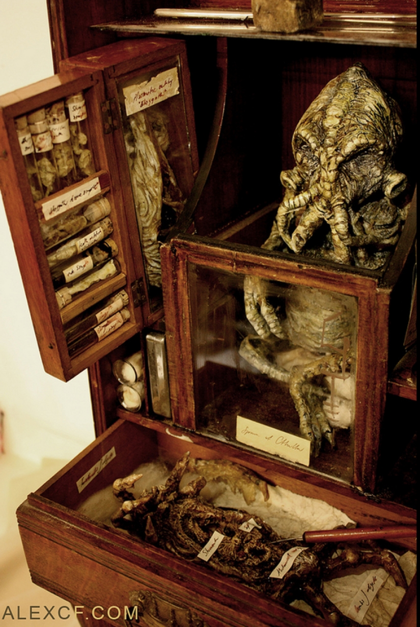 The mystery of the nightmarish collection of Thomas Merrilyn, a time traveler The mystery of the nightmarish collection of Thomas Merrilyn, a time traveler