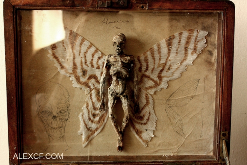 The mystery of the nightmarish collection of Thomas Merrilyn, a time traveler The mystery of the nightmarish collection of Thomas Merrilyn, a time traveler