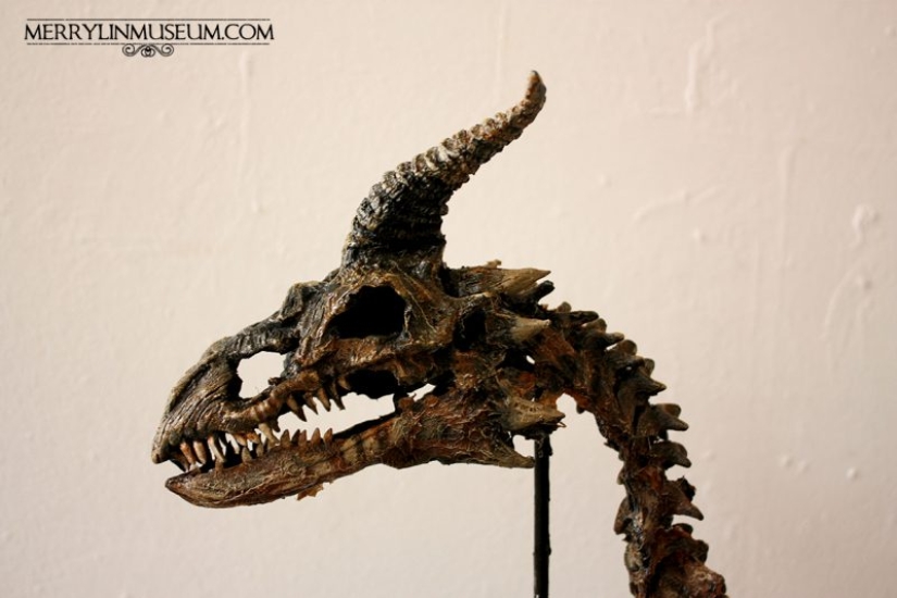 The mystery of the nightmarish collection of Thomas Merrilyn, a time traveler The mystery of the nightmarish collection of Thomas Merrilyn, a time traveler