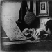 The oldest photos of their kind: from the first daguerreotype to the first Instagram post The oldest photos of their kind: from the first daguerreotype to the first Instagram post