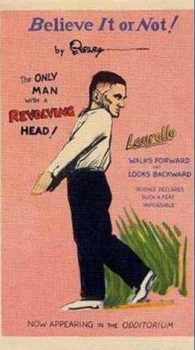 The Owl Man Martin Joe Laurello The Owl Man Martin Joe Laurello