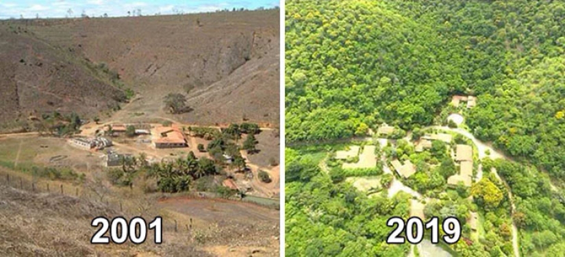 The photographer and his wife for 20 years has planted 2 million trees and regenerated the destroyed forest The photographer and his wife for 20 years has planted 2 million trees and regenerated the destroyed forest