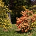 The photographer hides nude models in his landscape works. Can you find them?