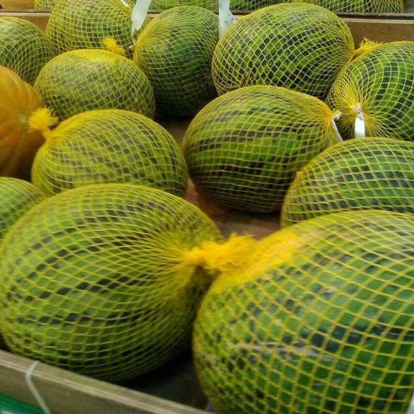 The plastic world has won: 22 examples of how diligently people destroy the planet with plastic