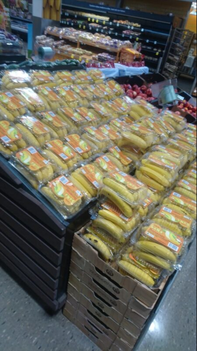 The plastic world has won: 22 examples of how diligently people destroy the planet with plastic