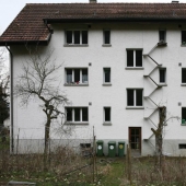 The road to the cat Kingdom: stairs to the furry Pets on the facades of Swiss houses The road to the cat Kingdom: stairs to the furry Pets on the facades of Swiss houses