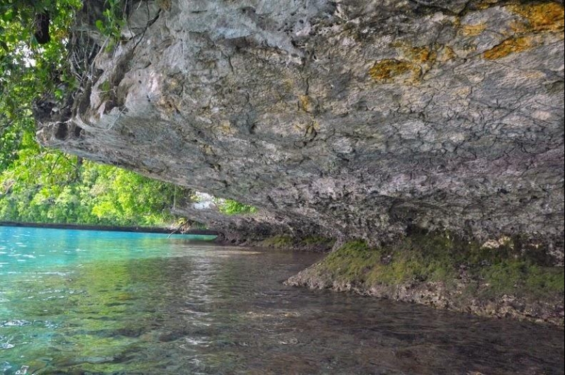 The rocky island of Palau The rocky island of Palau