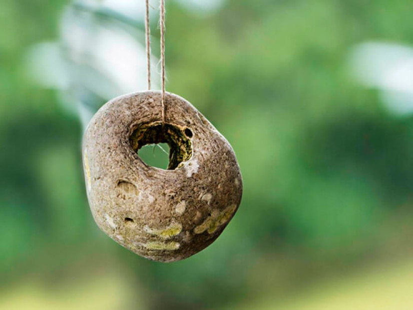 The secret of the "chicken god" — why stones with a hole are valued all over the world The secret of the "chicken god" — why stones with a hole are valued all over the world