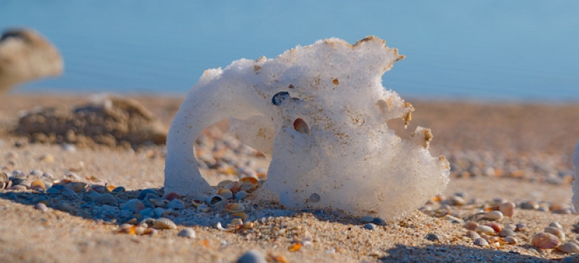 The secret of the "chicken god" — why stones with a hole are valued all over the world The secret of the "chicken god" — why stones with a hole are valued all over the world