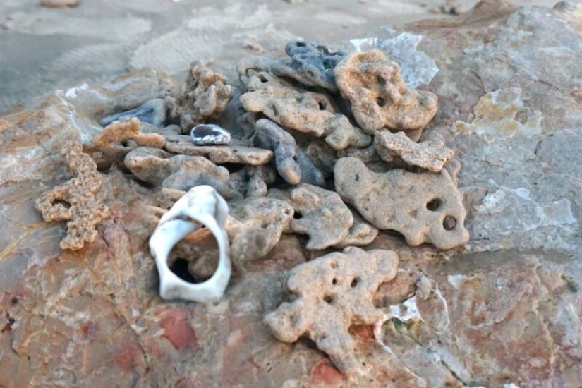 The secret of the "chicken god" — why stones with a hole are valued all over the world The secret of the "chicken god" — why stones with a hole are valued all over the world