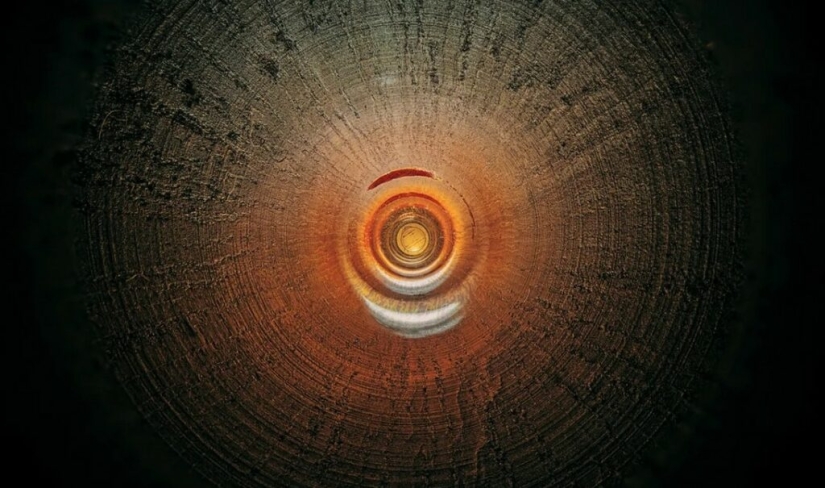 The Secrets of Musical Instruments Through the Lens of a Brilliant Photographer The Secrets of Musical Instruments Through the Lens of a Brilliant Photographer