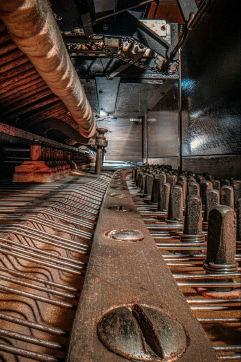 The Secrets of Musical Instruments Through the Lens of a Brilliant Photographer The Secrets of Musical Instruments Through the Lens of a Brilliant Photographer