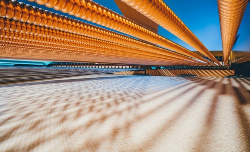 The Secrets of Musical Instruments Through the Lens of a Brilliant Photographer The Secrets of Musical Instruments Through the Lens of a Brilliant Photographer