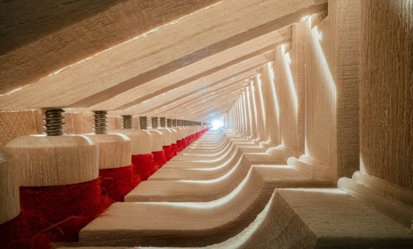 The Secrets of Musical Instruments Through the Lens of a Brilliant Photographer The Secrets of Musical Instruments Through the Lens of a Brilliant Photographer