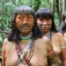 The Spirit of the Amazon: the life of the ancient Matses tribe — "jaguar people" The Spirit of the Amazon: the life of the ancient Matses tribe — "jaguar people"