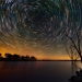 The Stellar Whirlpool The Stellar Whirlpool