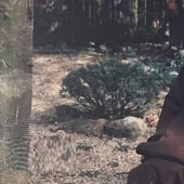 The story of Ann Russell Miller, a socialite and millionaire who became a nun The story of Ann Russell Miller, a socialite and millionaire who became a nun