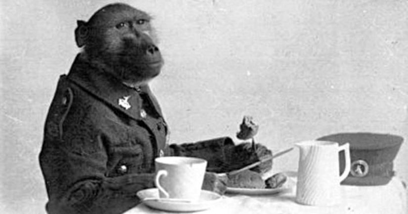 The story of Corporal Jackie — the most unusual hero of the First World War The story of Corporal Jackie — the most unusual hero of the First World War