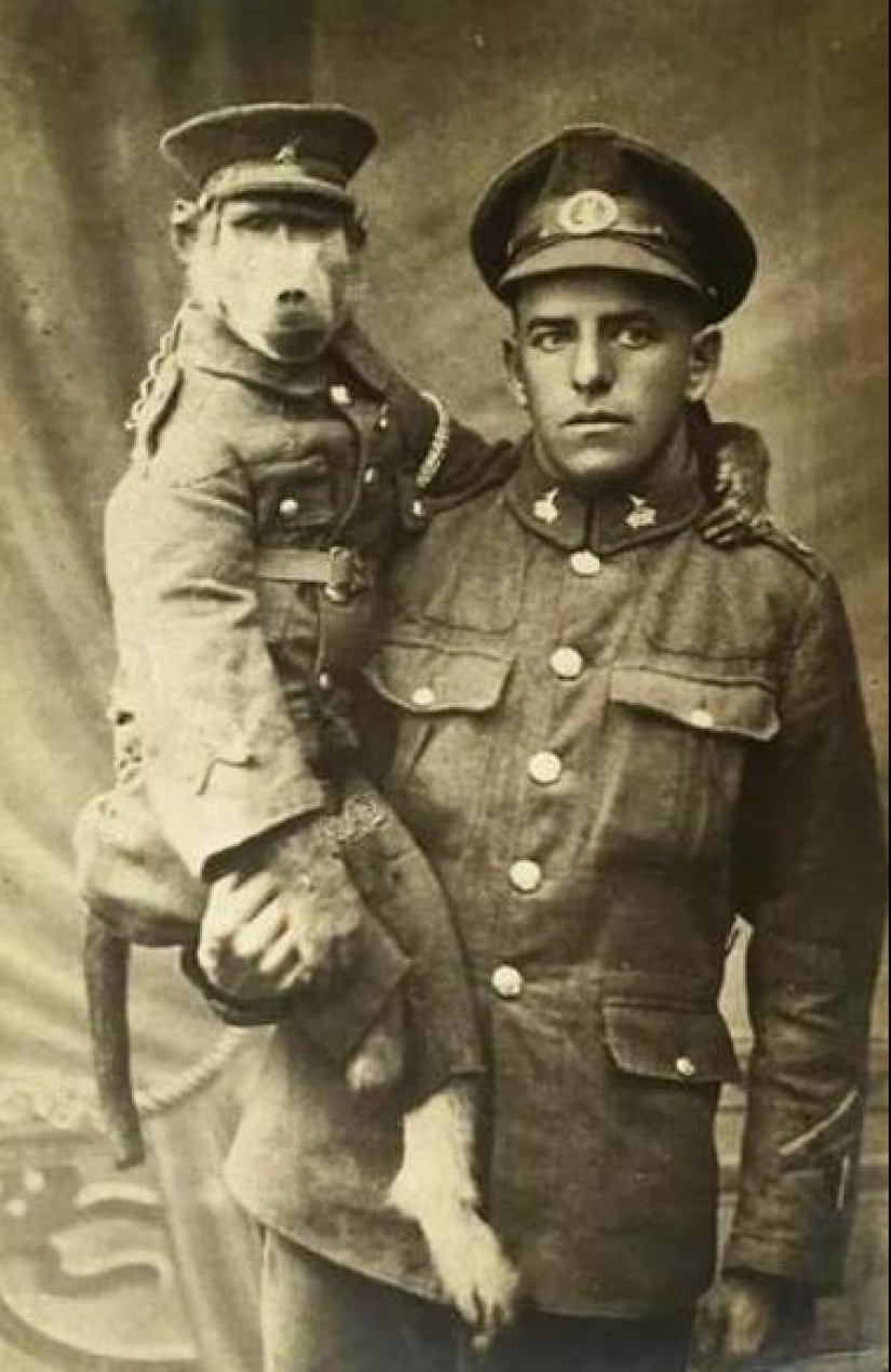 The story of Corporal Jackie — the most unusual hero of the First World War The story of Corporal Jackie — the most unusual hero of the First World War