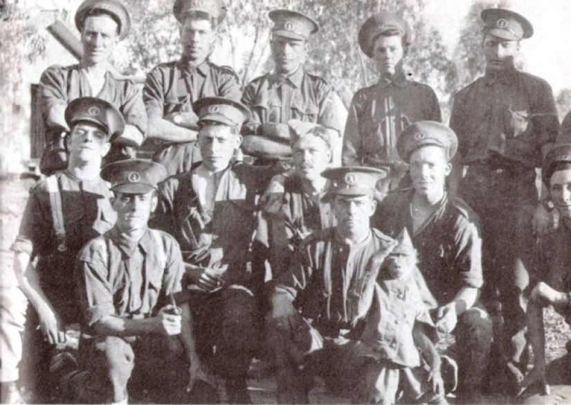 The story of Corporal Jackie — the most unusual hero of the First World War The story of Corporal Jackie — the most unusual hero of the First World War