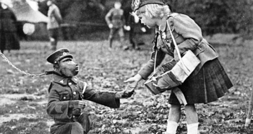 The story of Corporal Jackie — the most unusual hero of the First World War The story of Corporal Jackie — the most unusual hero of the First World War