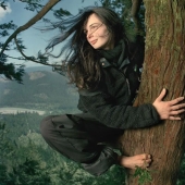 The story of Julia "Butterfly", a girl who lived in a tree for 2 years The story of Julia "Butterfly", a girl who lived in a tree for 2 years