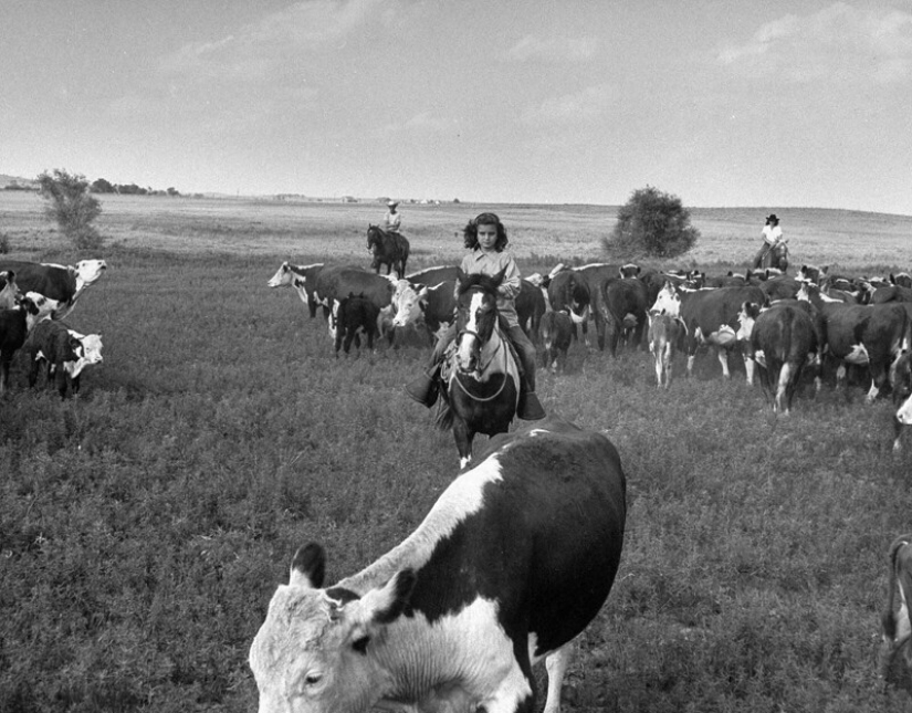The Story of the First Texas Female Cowboys