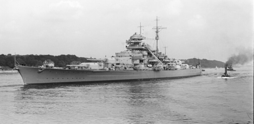 The Story of Unsinkable Sam, the Navy Cat Who Survived Three Ships
