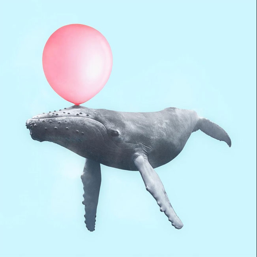 The surreal side of ordinary objects in the collages of the Mexican Paul Fuentes