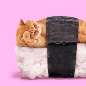 The surreal side of ordinary objects in the collages of the Mexican Paul Fuentes The surreal side of ordinary objects in the collages of the Mexican Paul Fuentes