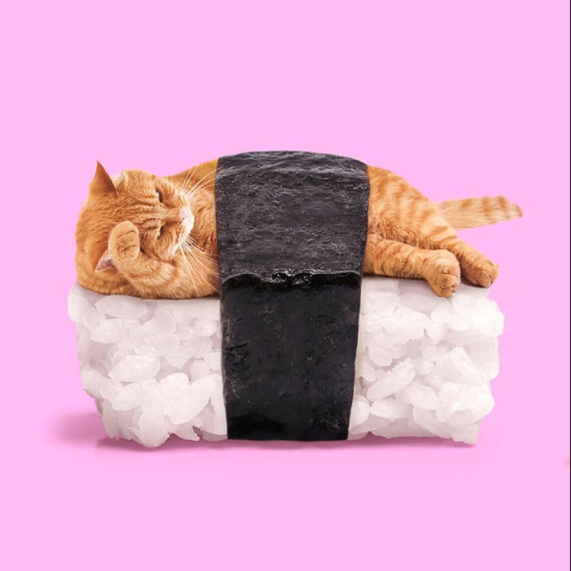 The surreal side of ordinary objects in the collages of the Mexican Paul Fuentes