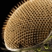 The tablets, Cola, paper: macro photos of familiar objects that you will be amazed The tablets, Cola, paper: macro photos of familiar objects that you will be amazed