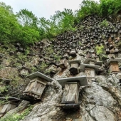 The unique hive wall is the only wild bee sanctuary in China The unique hive wall is the only wild bee sanctuary in China