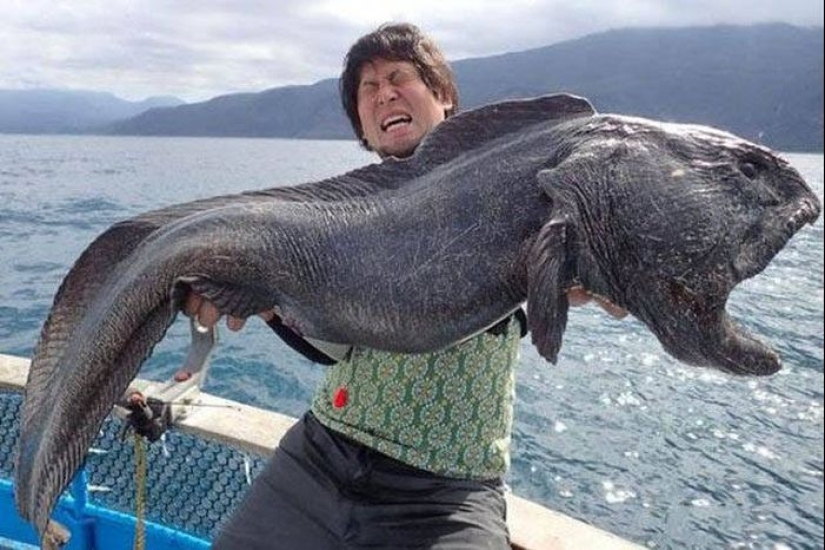 The usual shots from life in Japan, from which a European's eyes will pop out of his head