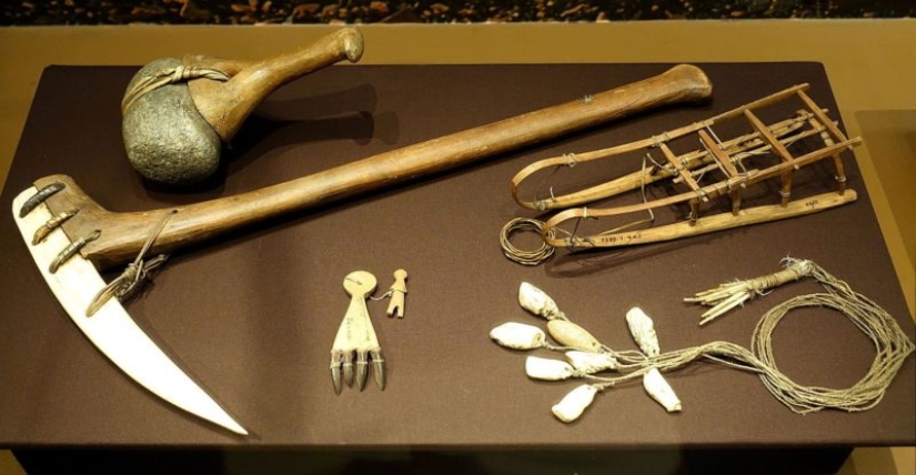 The weapons of the polar samurai: what the formidable Chukchi fought with