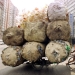 The whole truth about life in China first-hand The whole truth about life in China first-hand