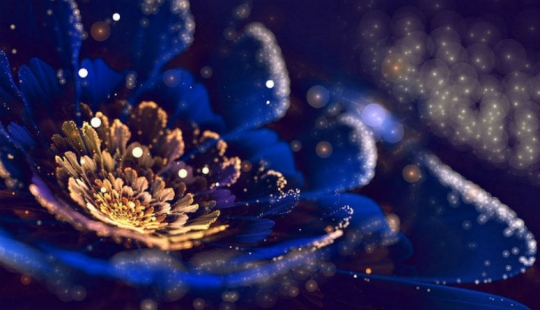 The Wonders of Fractal Graphics