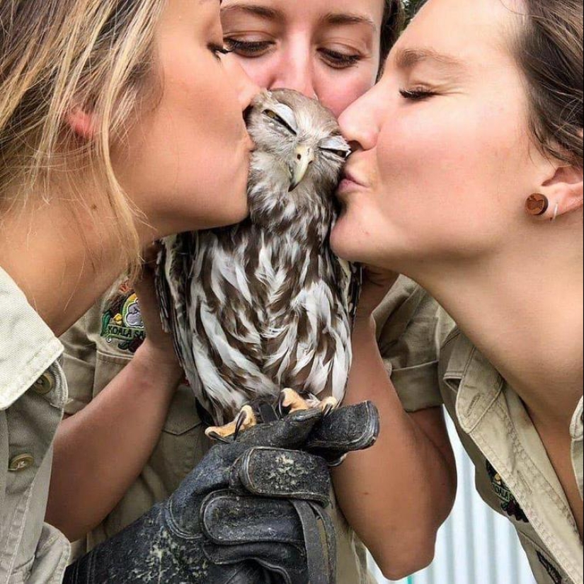 The world is better than you think: 35 emotional photos that prove it The world is better than you think: 35 emotional photos that prove it