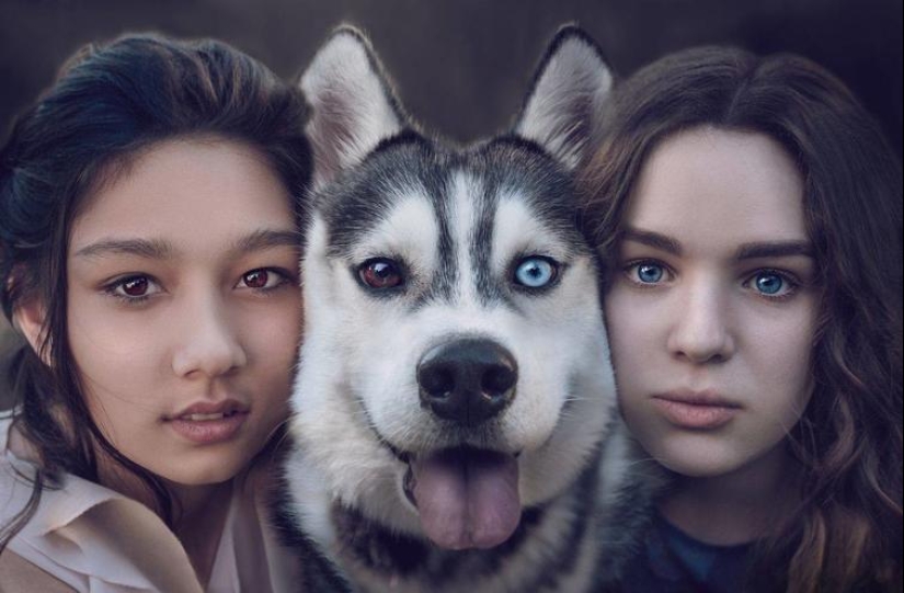 The world is better than you think: 35 emotional photos that prove it The world is better than you think: 35 emotional photos that prove it