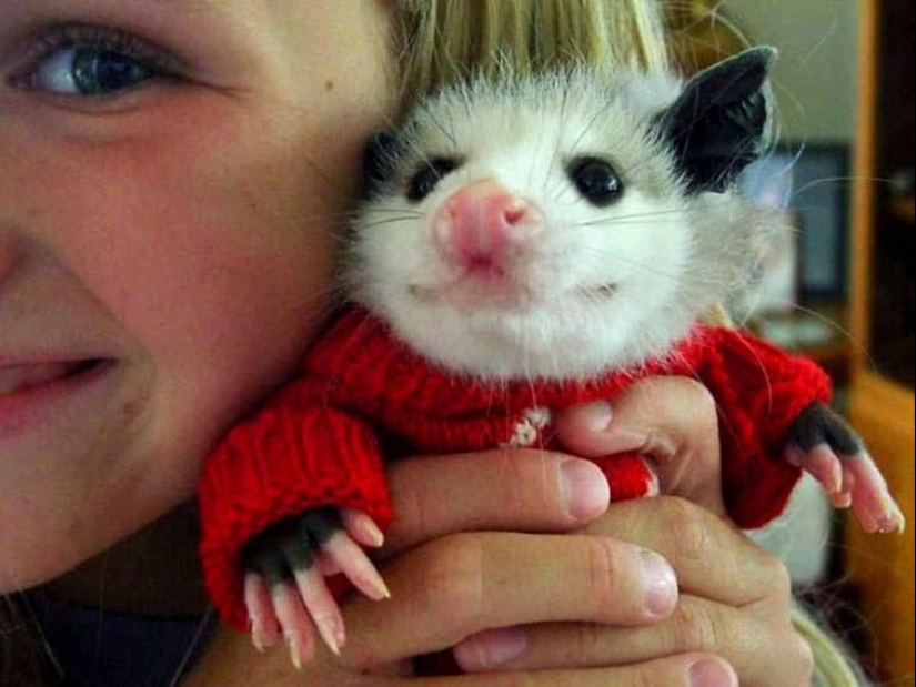 The world is better than you think: 35 emotional photos that prove it The world is better than you think: 35 emotional photos that prove it
