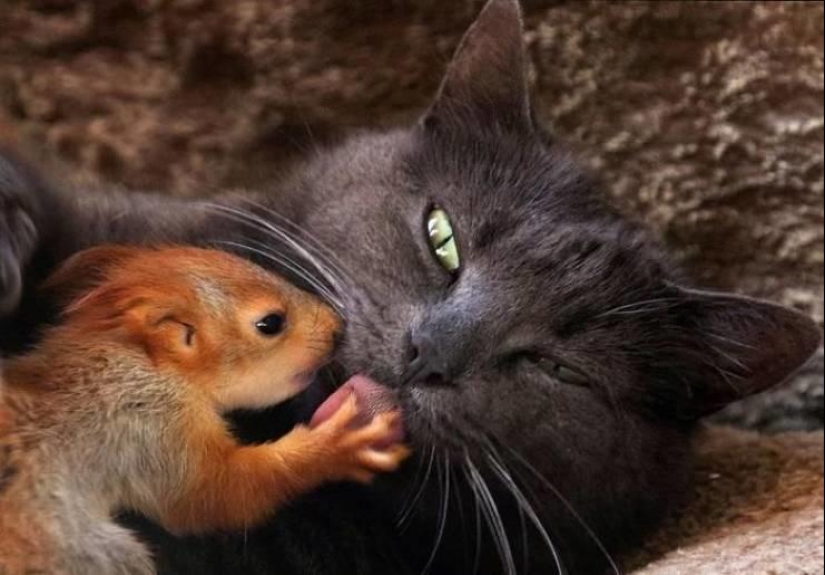 The world is better than you think: 35 emotional photos that prove it The world is better than you think: 35 emotional photos that prove it